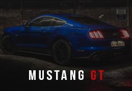 Mustang GT Performance Packages